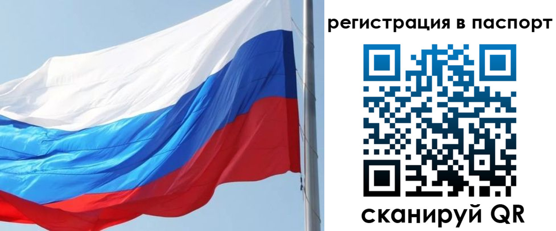 прописка законно в Полярном